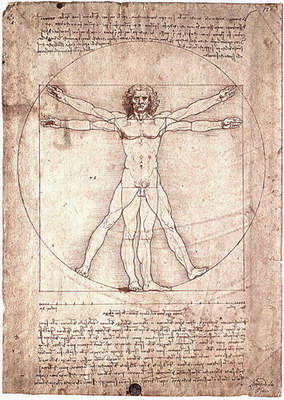 vitruvian_man.jpg